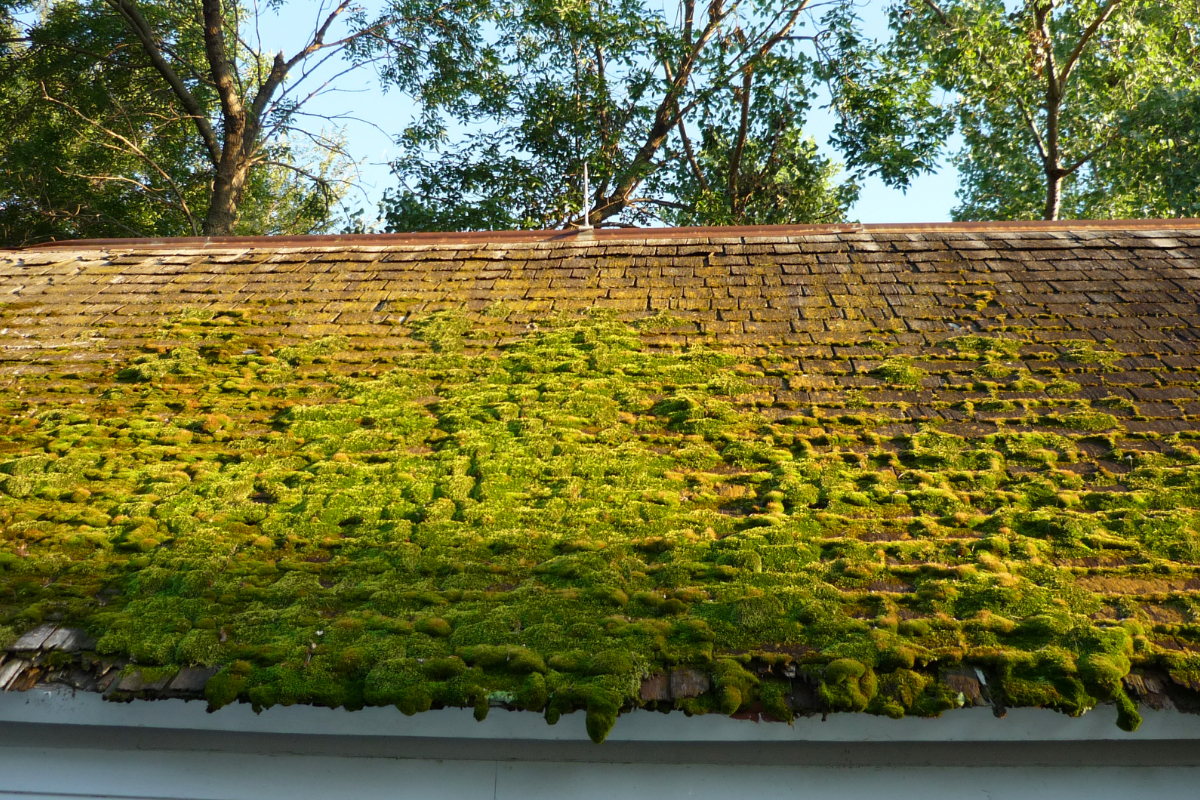 Direct Mail for Roofers: A Simple Postcard Playbook