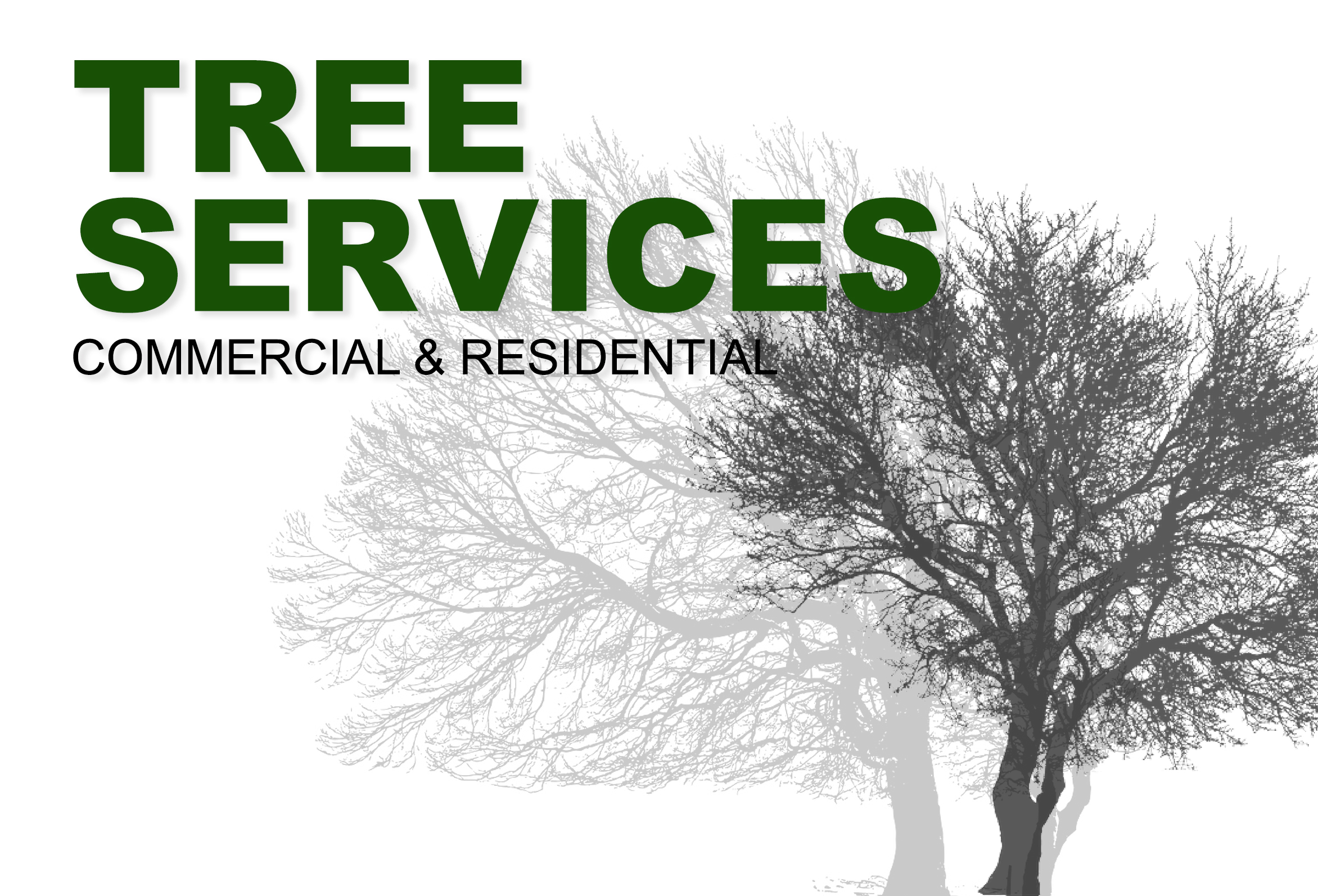 Direct Mail for Tree Service Companies: A Simple Postcard Playbook